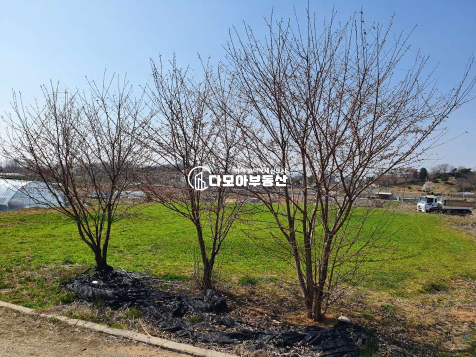 경기 평택시 고덕면 당현리 고덕신도시 인근 당현리 계획관리 토지 매매 매매 매물번호 10500 사진 4