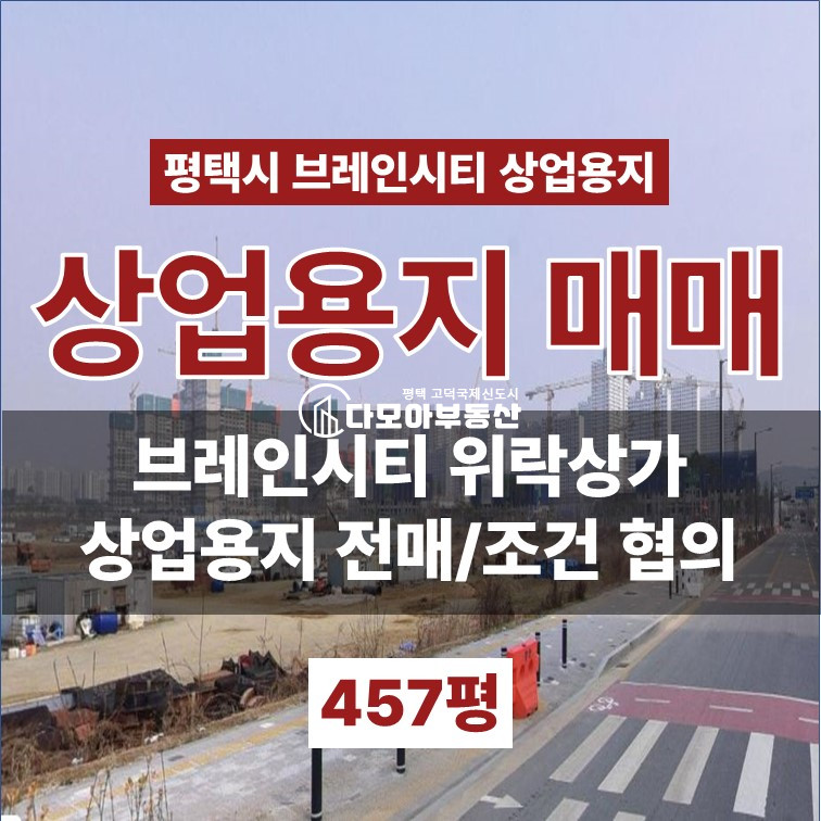 경기 평택시 장안동 브레인시티 상업지 토지 매매 매매 매물번호 10503 사진 1