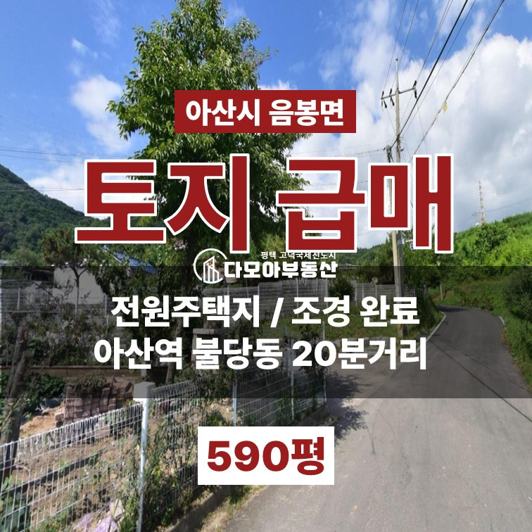 충남 아산시 음봉면 신정리 아산시 전원주택지 급매 불당동 천안아산역 20분거리 네모반듯 조경완료 매매 매물번호 10420 사진 1