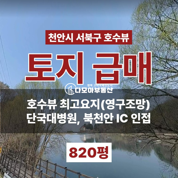충남 천안서북구 성거읍 천흥리 천안시 영구호수조망 토지 급매 분할가능 매매 매물번호 10421 사진 1