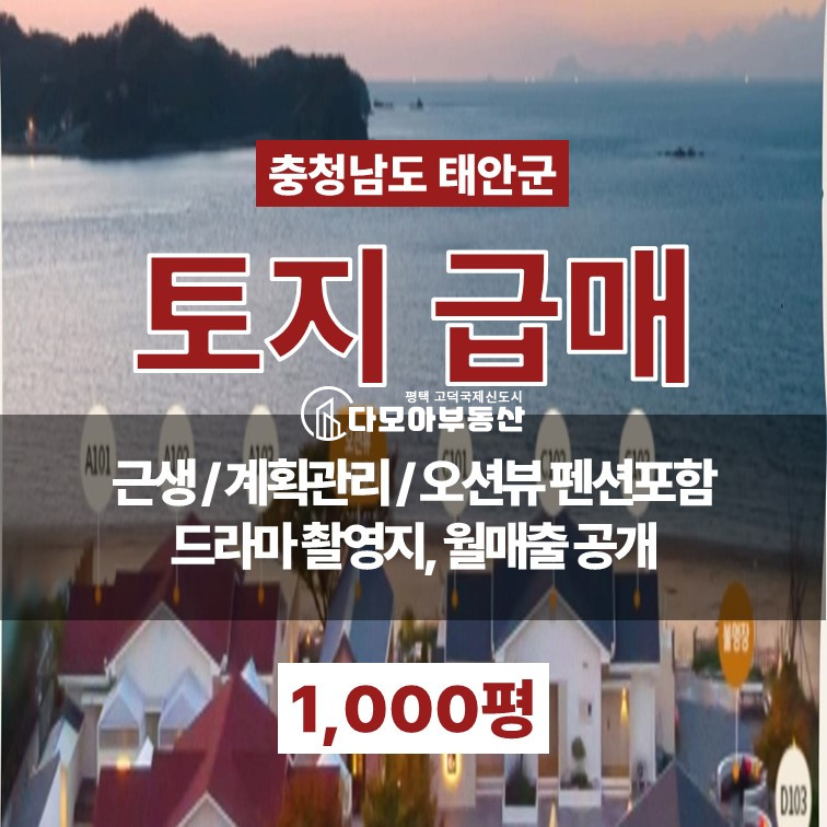 충남 태안군 원북면 신두리 충남 태안 바닷가 돈이 되는 땅 매매 성업중인 펜션포함 월매출 공개가능 매매 매물번호 10390 사진 1