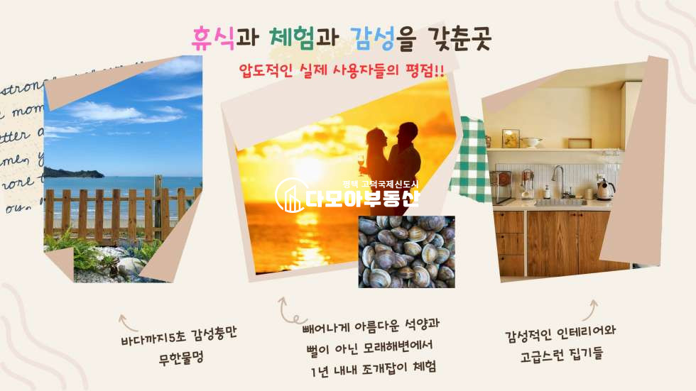 충남 태안군 원북면 신두리 충남 태안 바닷가 돈이 되는 땅 매매 성업중인 펜션포함 월매출 공개가능 매매 매물번호 10390 사진 2
